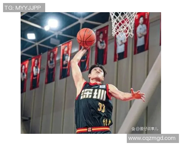 辽宁男篮与上海队精彩对决录像回放分析及精彩瞬间集锦