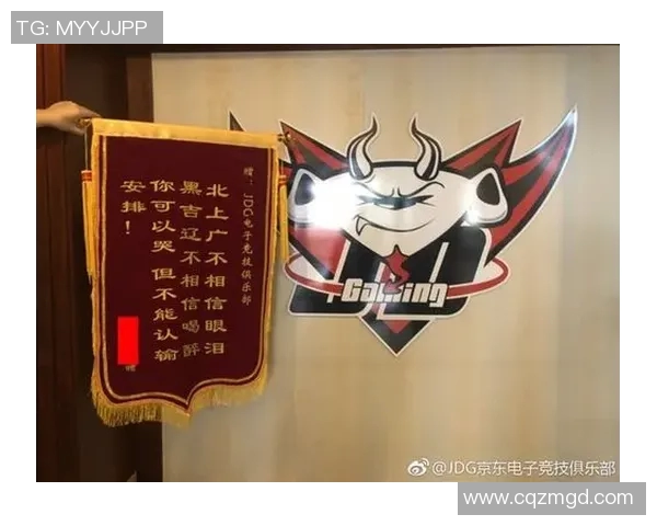 CSGO战术解析:深入探讨JDG战队的地图控制与战略布局